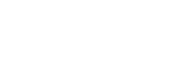 Visonis-1-logo-white